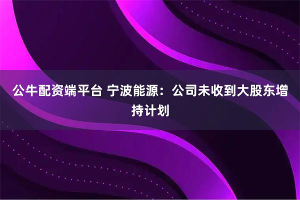 公牛配资端平台 宁波能源:公司未收到大股东增持计划